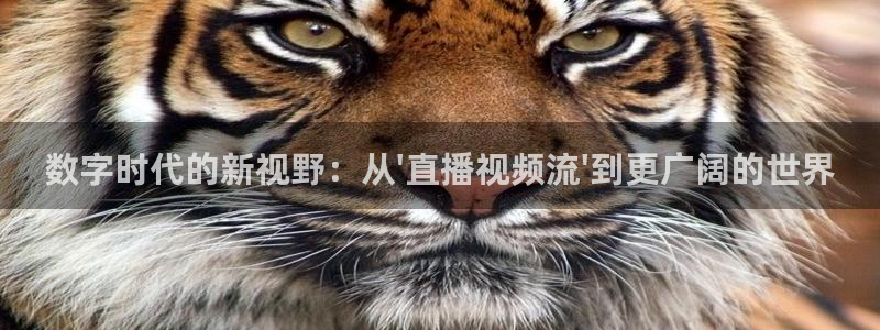 说球帝app直播在线观看高清免费