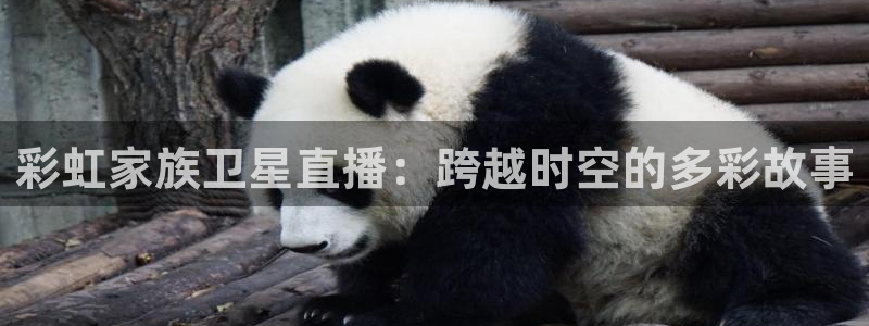说球帝直播免费观看入口：彩虹家族卫星直播：跨越时空的多彩故事