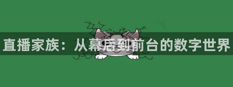 说球帝直播nba：直播家族：从幕后到前台的数字世界