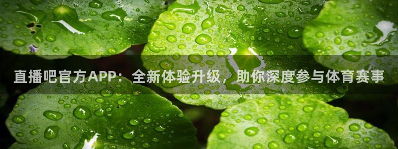 说球帝在线直播观看