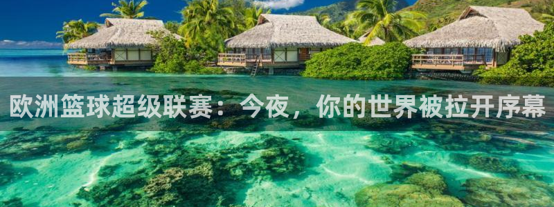 说球帝nba直播免费高清：欧洲篮球超级联赛：今夜，你的世界被拉开序幕