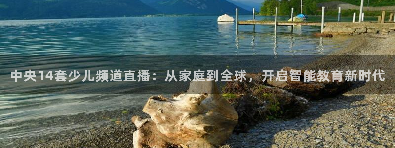 说球帝nba直播在线观看免费app：中央14套少儿频道直播：从家庭到全球，开启智能教育新时代