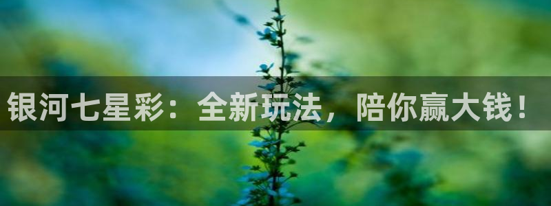 说球帝直播推荐：银河七星彩：全新玩法，陪你赢大钱！