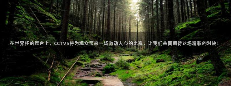nba说球帝直播在线观看免费：在世界杯的舞台上，CCTV5将为观众带来一场激动人心的比赛，让我们共同期待这场精彩的对决！