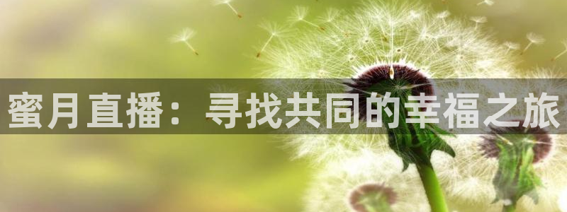 直播nba免费观看说球帝：蜜月直播：寻找共同的幸福之旅