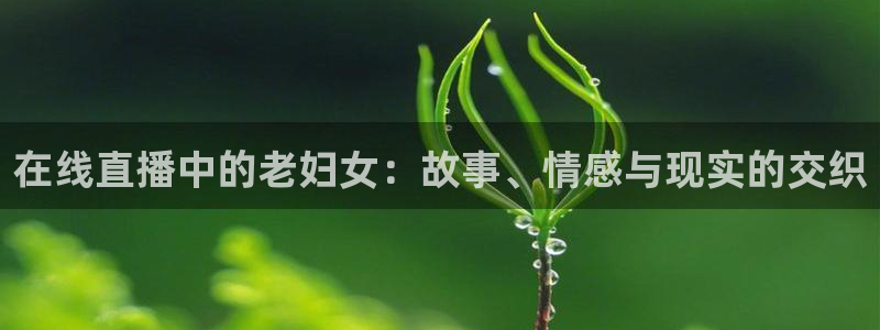 说球帝在线观看：在线直播中的老妇女：故事、情感与现实的交织