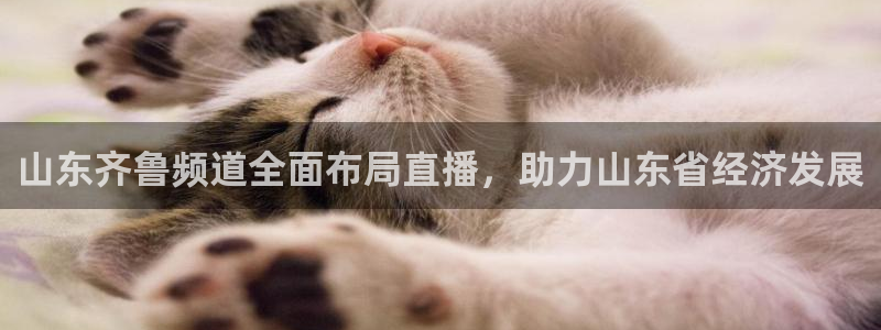 说球帝体育在线直播：山东齐鲁频道全面布局直播，助力山东省经济发展