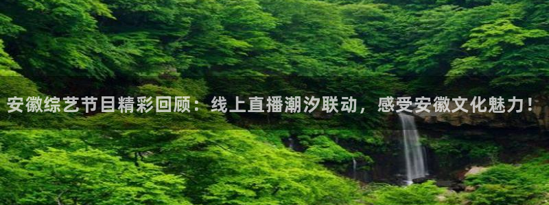 说球帝网页直播：安徽综艺节目精彩回顾：线上直播潮汐联动，感受安徽文化魅力！